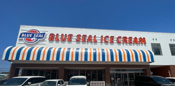 行政書士の週末弾丸旅行｜沖縄 那覇・コザで見た夜の街と深夜営業のリアル